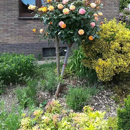 Haus Hirt-nettetal Apartment *