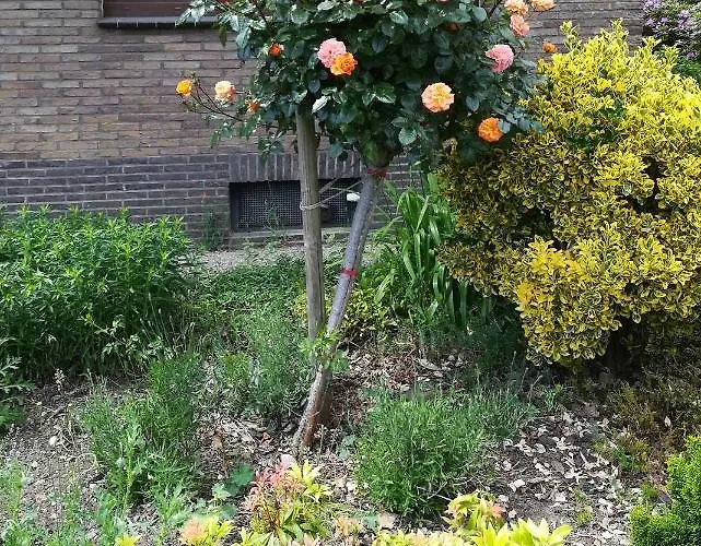 Haus Hirt-nettetal Lejlighed *